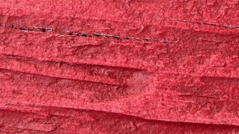 Vista posterior de una antigua moneda de medio dólar de plata de Franklin sobre un fondo rojo.