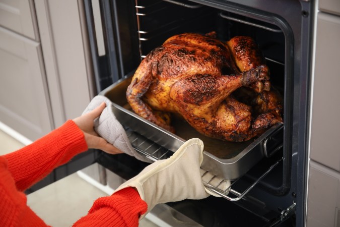 Una mujer saca un sabroso pavo horneado del horno en la cocina. Celebración del Día de Acción de Gracias.