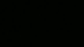 Si quieres ahorrar en productos de lujo o alta gama, Sam's Club tiene una amplia oferta para sus clientes.