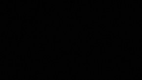 Crisis del huevo en Estados Unidos