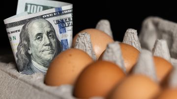 Crisis del huevo en Estados Unidos