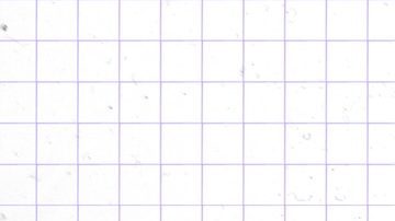 EasyBank es un grupo financiero con amplia experiencia, que brinda cercanía con su atención personalizada.