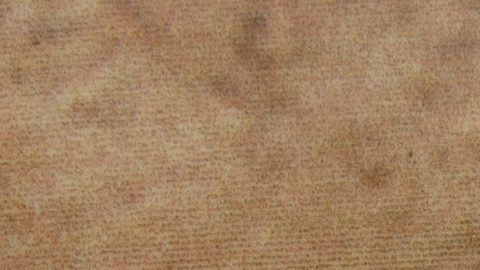 Reverso de la moneda de níquel de Jefferson, dinero estadounidense, moneda de cinco centavos de EE.UU.