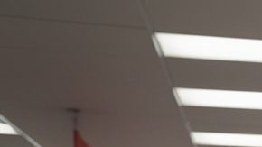 Existen algunos productos en Dollar Tree que podrías revender, solo hay que saber qué buscar.