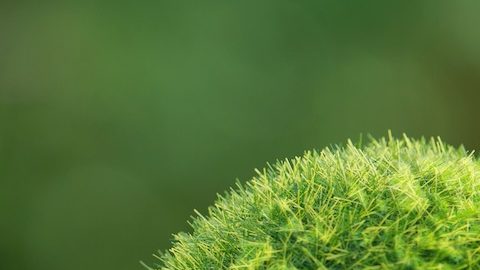 Concepto ESG de medio ambiente, sociedad y gobernanza.palabras ESG en un bloque de madera.