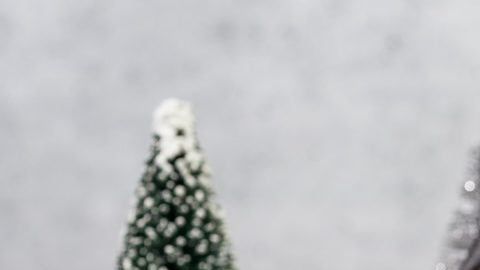 Árboles de navidad miniatura con una tarjeta de Costco al frente.