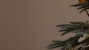 Dollar Tree tiene una amplia oferta de decoraciones navideñas a un precio muy bajo.