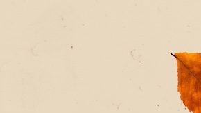 Durante Thanksgiving muchos negocios cierran sus puertas, por eso es importante conocer qué restaurantes están abiertos este año; en caso de emergencia.