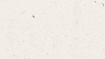 Empieza el 2025 con el pie derecho organizando tus finanzas con una aplicación para tu presupuesto.