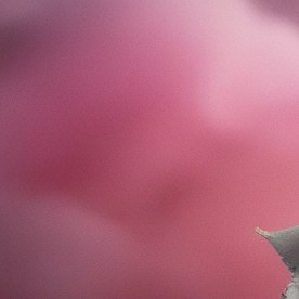 Cheque de estímulo de $725 dólares