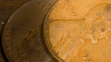 Algunas monedas de 1 centavo de 1936 pueden valer una pequeña fortuna gracias a un error de acuñación.