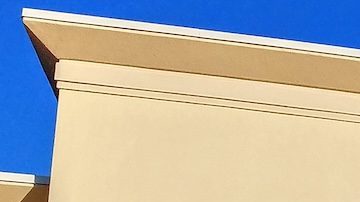 Trader Joe's está buscando miembros de equipo en diferentes sucursales de Florida.