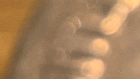 Algunas monedas de 10 centavos de 1945 pueden valer algunos buenos miles de dólares.