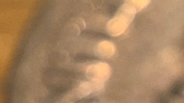 Algunas monedas de 10 centavos de 1945 pueden valer algunos buenos miles de dólares.