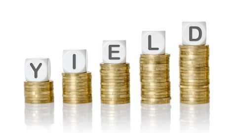 En términos financieros, el rendimiento se utiliza para describir una cierta cantidad ganada en un valor durante un período de tiempo particular.