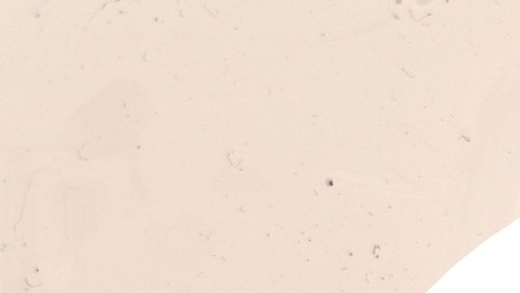 Una cuenta corriente es una herramienta valiosa para administrar los gastos diarios y hay muchas opciones disponibles.