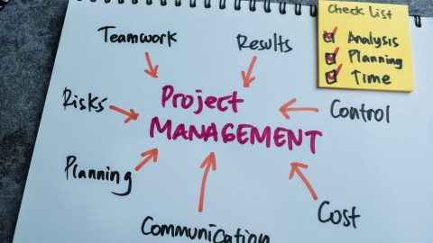 Project manager