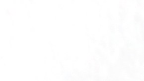 Programa de amortización