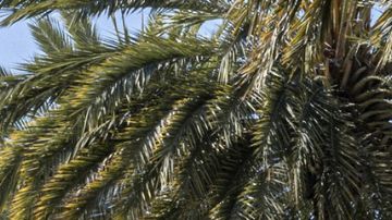 Robo taxi Zeekr 2025