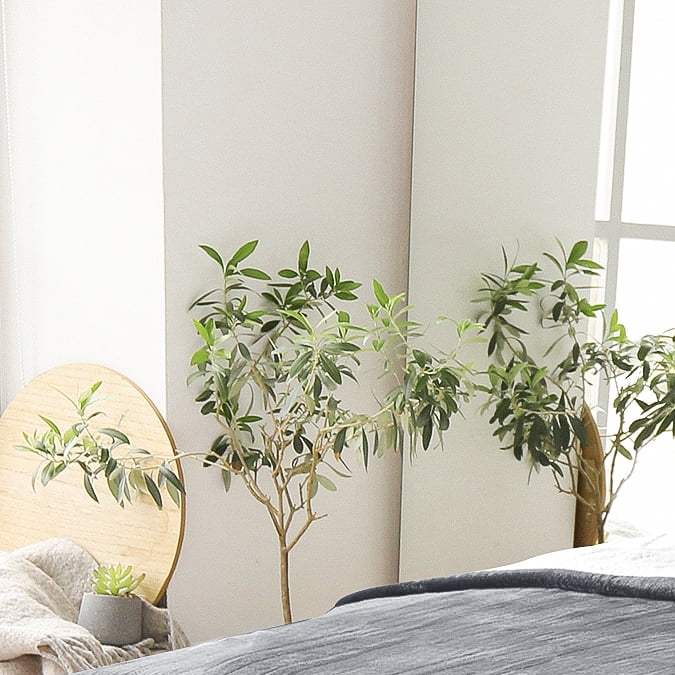 Manta eléctrica Ocuuziisu.