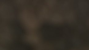 Walmart tiene una oferta especial en el iPhone 13 que te ayudará a ahorrar más de $100 dólares.