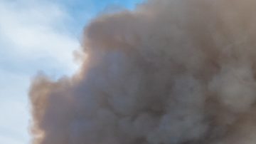 Más de 6,000 estructuras han sido destruidas en el sur de California después de los incendios forestales de enero 2025.