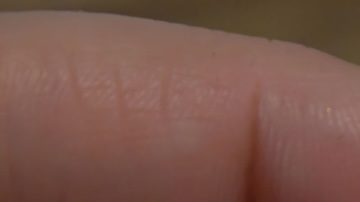 Algunas monedas de $1 dólar de 1980 podrían valer miles de dólares en el mercado de subastas.