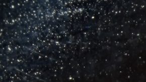 Existen algunas monedas de 1 centavo de 2009 que pueden valer una pequeña fortuna.