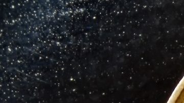 Existen algunas monedas de 1 centavo de 2009 que pueden valer una pequeña fortuna.