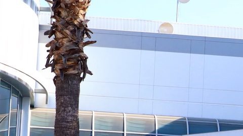 Target tendrá un 2025 de muchas sorpresas, iniciando con nuevas tiendas en 15 estados de EE.UU.