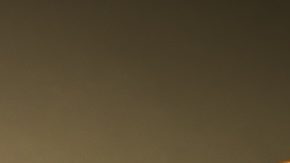 El toro ha sido durante mucho tiempo un símbolo de fortaleza y optimismo en Wall Street.