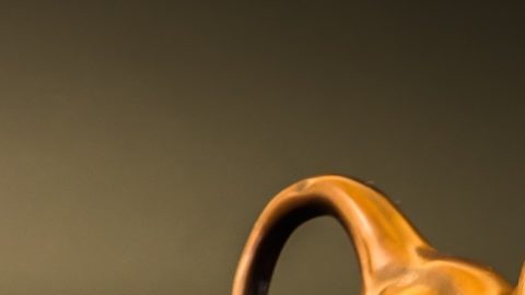 El toro ha sido durante mucho tiempo un símbolo de fortaleza y optimismo en Wall Street.