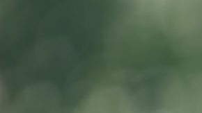 The Bridge Project ayudará económicamente a mujeres embarazadas en Ohio, Virginia Occidental y Kentucky durante tres años.