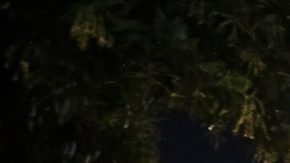 ALDI, la cadena de supermercados de más rápido crecimiento en EE.UU., planea romper su propio récord de tiendas nuevas en un año.