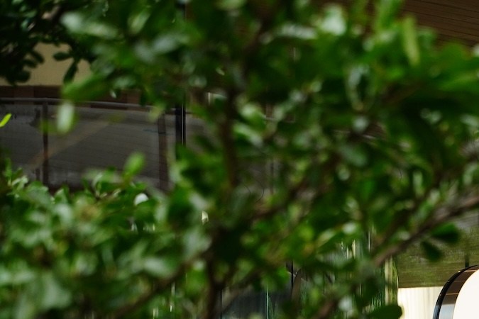 En los próximos años, equipos e instalaciones de Apple se expandirán en Michigan, Texas, California, Arizona, Nevada, Iowa, Oregon, Carolina del Norte y Washington.