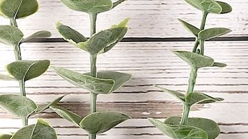 El beneficio por acción (EPS) básico indica a los inversores qué porcentaje de los ingresos netos de una empresa se asignó a cada acción ordinaria.