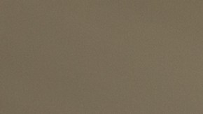 Cheque de estímulo en Florida