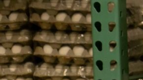 Tiendas en Estados Unidos han comenzado a restringir el número de huevos que los clientes pueden comprar en cada visita. Tiendas en Estados Unidos han comenzado a restringir el número de huevos que los clientes pueden comprar en cada visita.