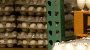 Tiendas en Estados Unidos han comenzado a restringir el número de huevos que los clientes pueden comprar en cada visita. Tiendas en Estados Unidos han comenzado a restringir el número de huevos que los clientes pueden comprar en cada visita.