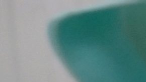 El USDA dijo que más de 18 millones de ponedoras de huevos comerciales se vieron afectadas por la gripe aviar en enero, lo que representa el "total mensual más alto desde que comenzó el brote en 2022".