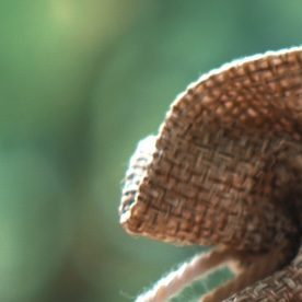 Los retiros anticipados del 401(k) suelen estar sujetos a fuertes multas e impuestos adicionales, pero hay algunas excepciones.