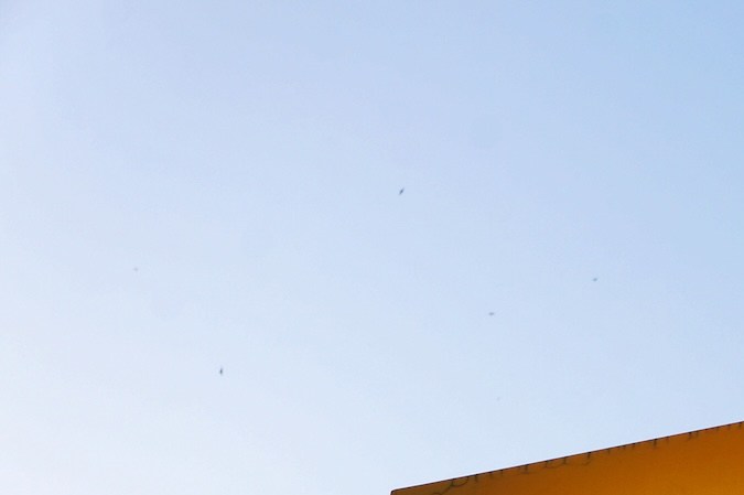 Aunque muchos cubanoamericanos dependen de las remesas para sustentar a sus familias, algunos estuvieron de acuerdo con las restricciones.