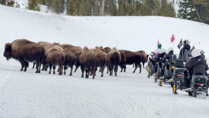 Ski-Doo Yellowstone