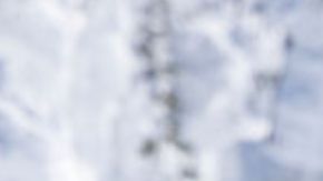 Ski-Doo Grand Touring Sport 900 2025