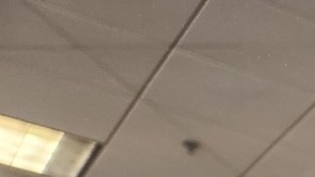 Los cambios de la SSA surgen en un momento en que la agencia planea cerrar docenas de sus oficinas en todo el país y ya ha presentado planes para despedir a miles de trabajadores.