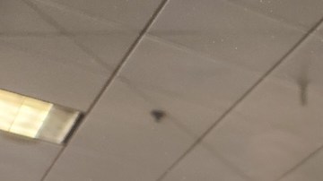 Los cambios de la SSA surgen en un momento en que la agencia planea cerrar docenas de sus oficinas en todo el país y ya ha presentado planes para despedir a miles de trabajadores.