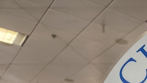 Los cambios de la SSA surgen en un momento en que la agencia planea cerrar docenas de sus oficinas en todo el país y ya ha presentado planes para despedir a miles de trabajadores.