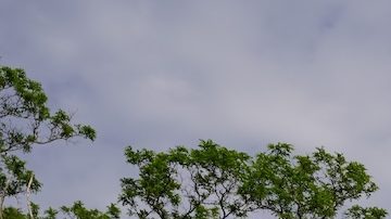 La compañía también planea convertir seis tiendas pOpshelf en sucursales de Dollar General.