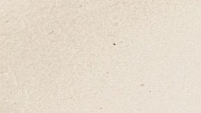 No es necesario tener un título universitario de cuatro años para conseguir un trabajo bien remunerado.