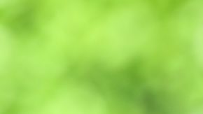 Antes de obtener un préstamo para el alquiler, es importante que evalúes los costos involucrados y los pros y contras.